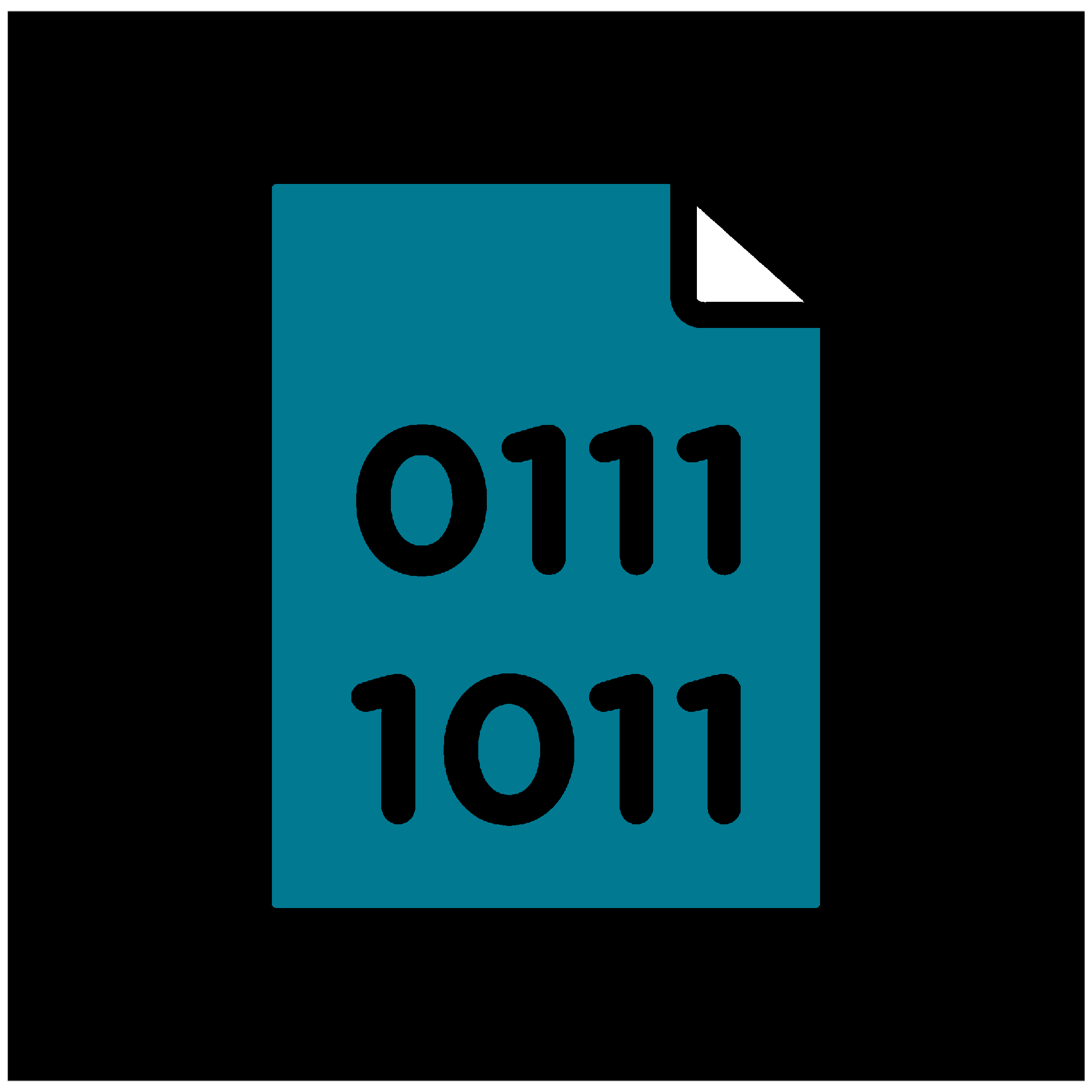 Binary Exploitation